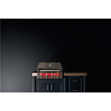 Load image into Gallery viewer, TrueFlame 32" TF Series Propane Built-in Grill