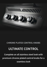 Load image into Gallery viewer, Napoleon Built-In Series 32