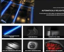 Load image into Gallery viewer, Napoleon Rogue Pro-S 625 RSIB