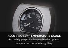 Load image into Gallery viewer, Napoleon BUILT-IN PRESTIGE 500 RB