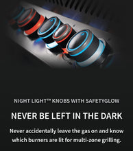 Load image into Gallery viewer, Napoleon BUILT-IN PRESTIGE 500 RB