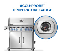 Load image into Gallery viewer, Napoleon Rogue Pro-S 625 RSIB

